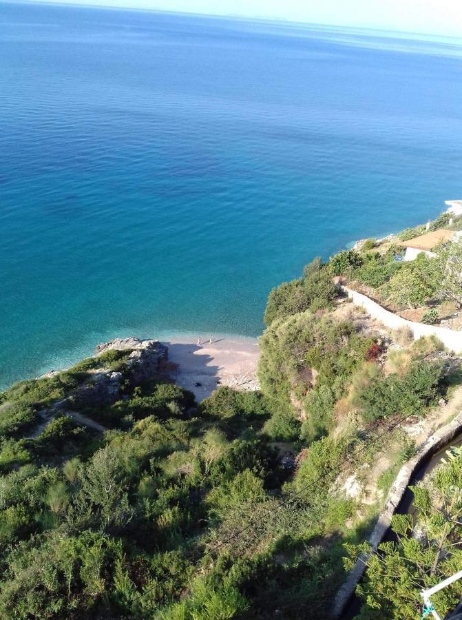 Blue Sea Apartments Κηπαρό Εξωτερικό φωτογραφία